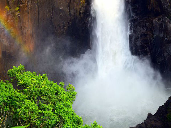 5. Yercaud
