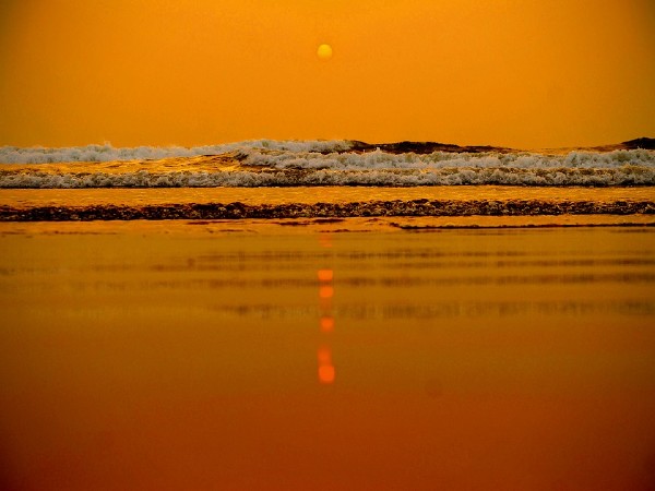 Beach It Up (Sustainably) In Goa