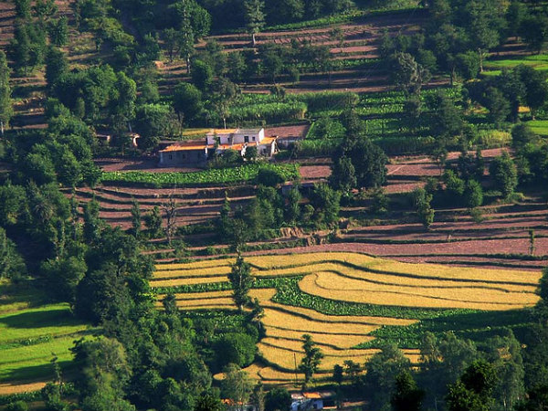 5. Kasauli