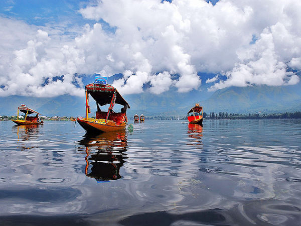 5. Kashmir