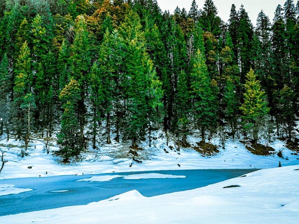1. Kedarkantha trek