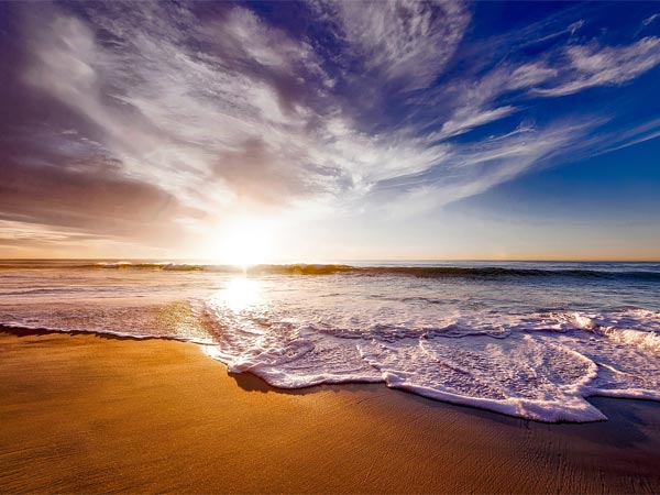3. Malvan