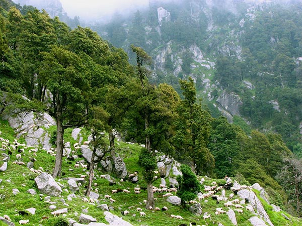 10. Mcleodganj