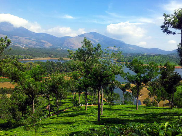 2. Munnar, Kerala