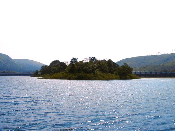 9. Periyar
