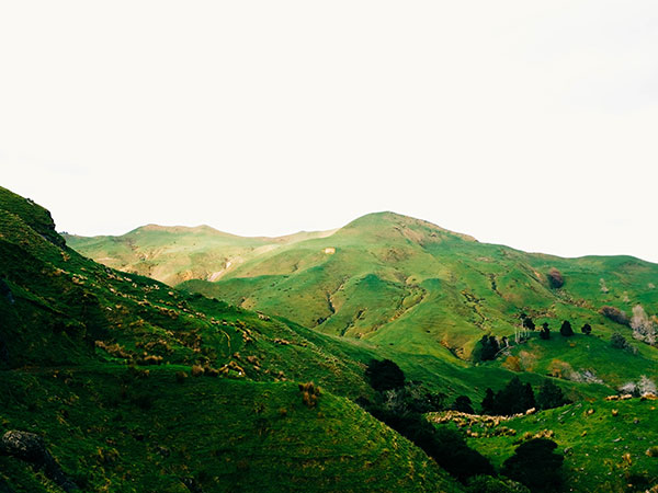 9. Pulwama