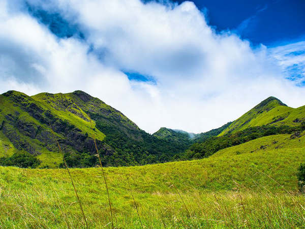 7. Wayanad