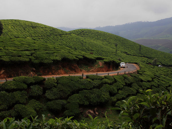 Bangalore To Coorg