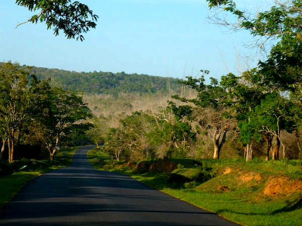 Bangalore To Ooty