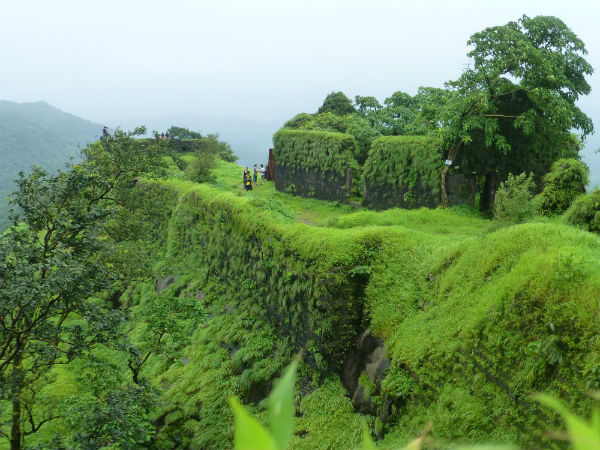6. Karnala