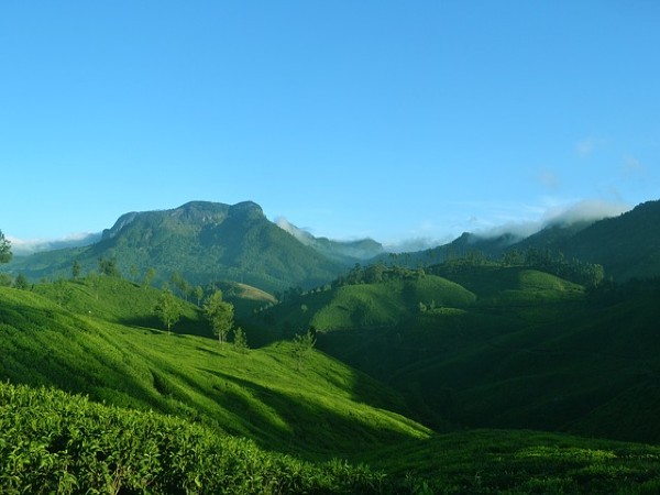6. Munnar