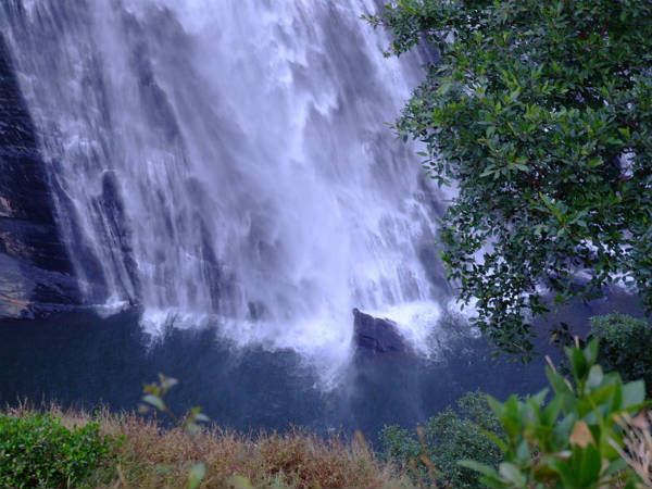 5. Sirsi