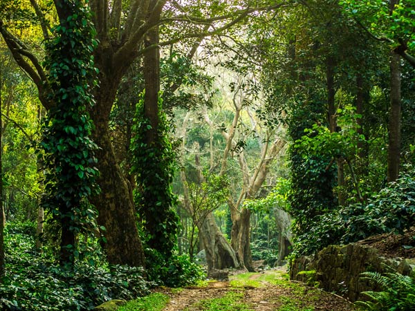 3. Yercaud