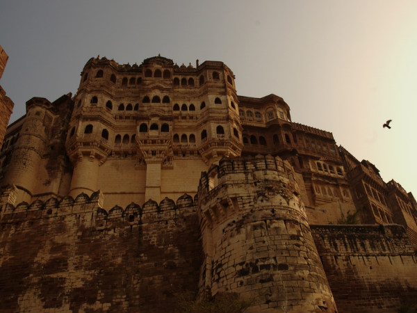 6. Bishnoi Village, Jodhpur