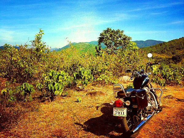 10. Daringbadi