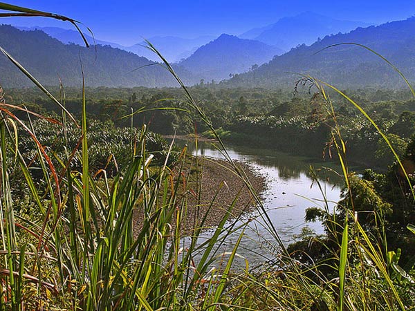 4. Dimapur