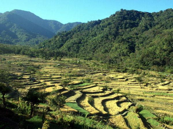 7. Khonoma Village