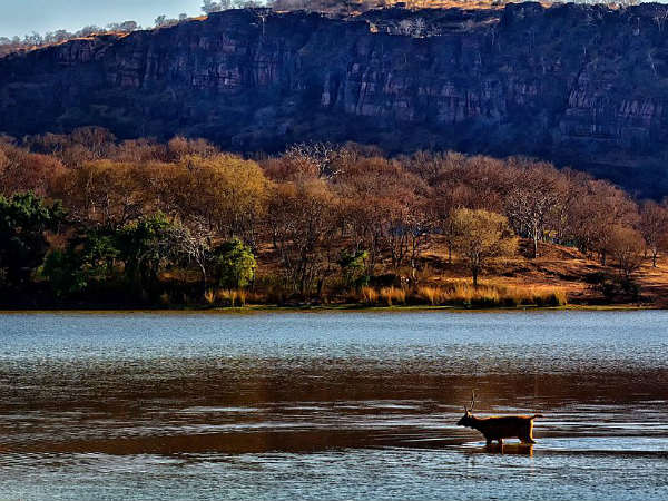 rathambore rathambore