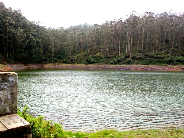 2. Roopark Village