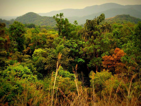 2. Coorg