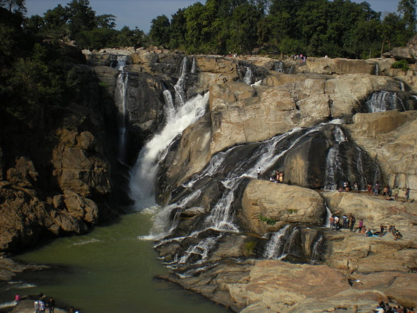 6. Golpata Forest