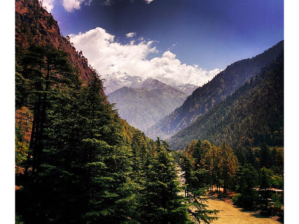 6. Kasol