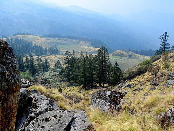 4. Manali