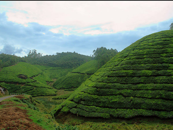 10. Munnar