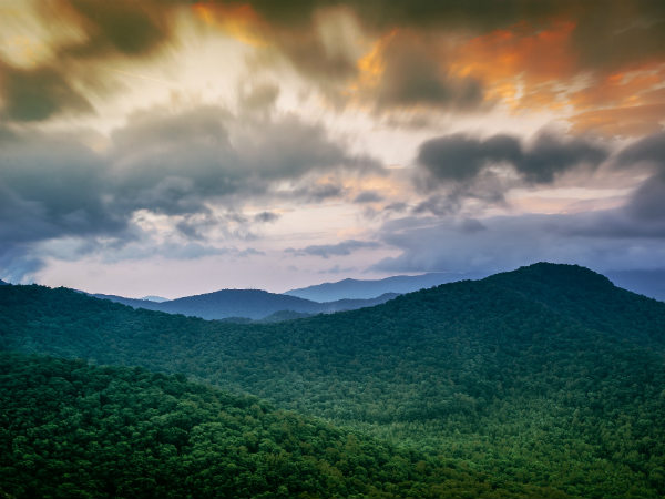 2. Wayanad
