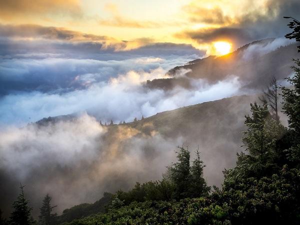 केरल के दस सर्वश्रेष्ठ शीतकालीन गंतव्य