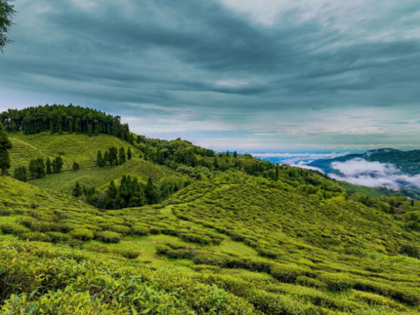 नागालैंड में सर्वश्रेष्ठ ग्रीष्मकालीन अवकाश