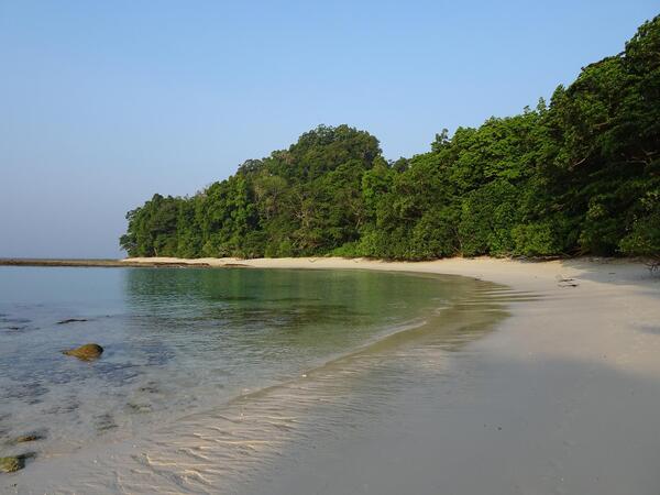 Swaraj Deep (Havelock Island), India