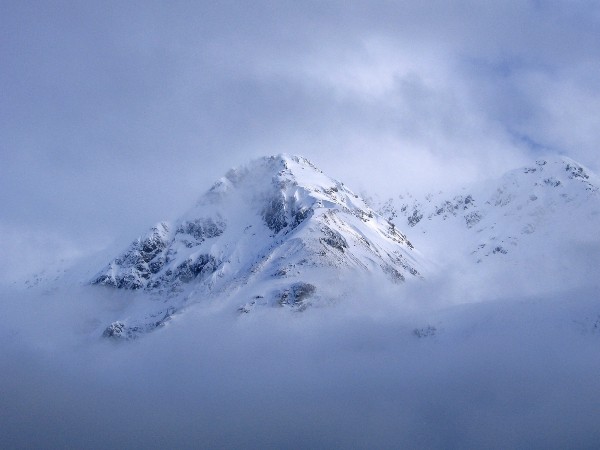 The Homeless Peaks The Homeless Peaks