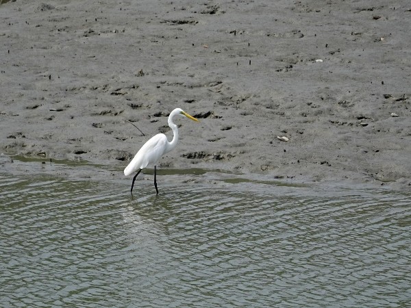 Ramsar site Ramsar site