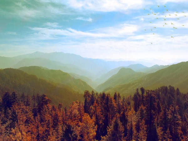 7) Western Ghats, Maharashtra, Goa, Karnataka, Tamil Nadu, and Kerala