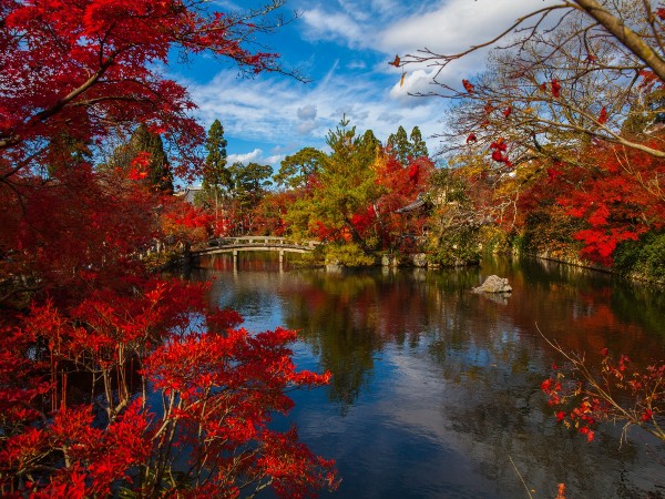 Prettiest Cities In The World For Instagram Pictures