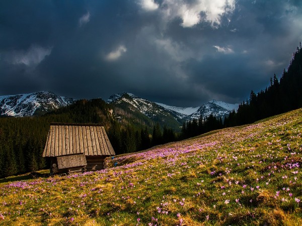 5) Nanda Devi and Valley of Flowers National Parks, Uttarakhand