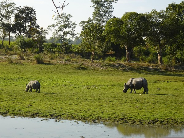 Annamalai Sanctuary