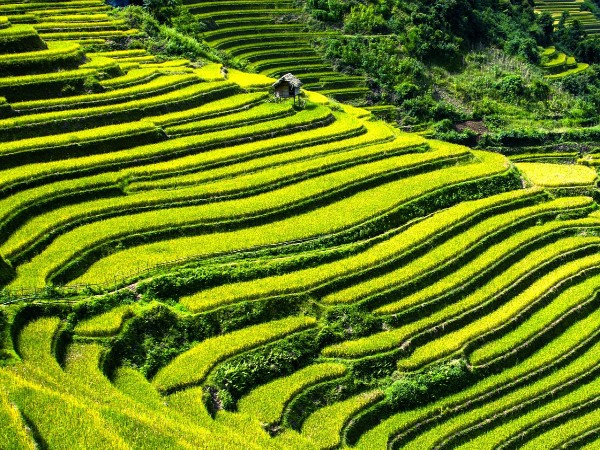 7) Vietnam