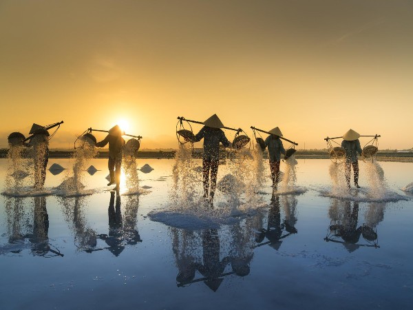 Vietnam Vietnam