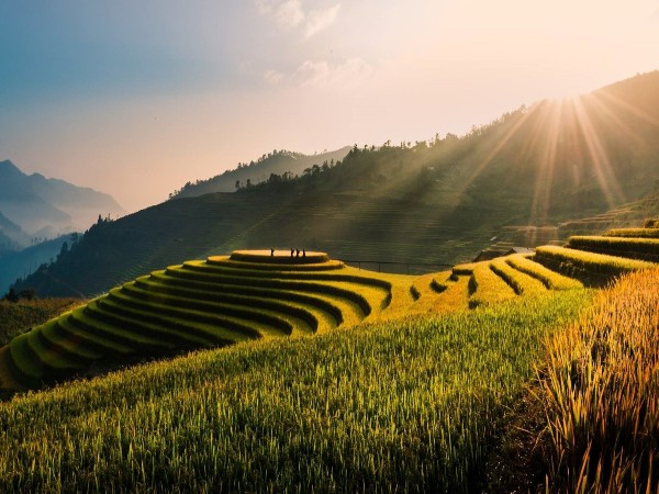 Vietnam Vietnam