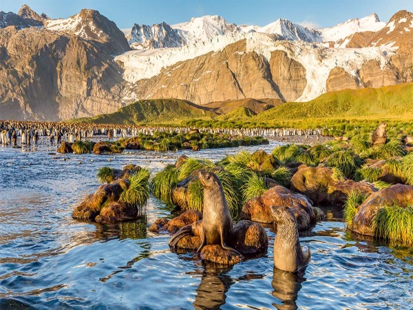 South Georgia South Georgia