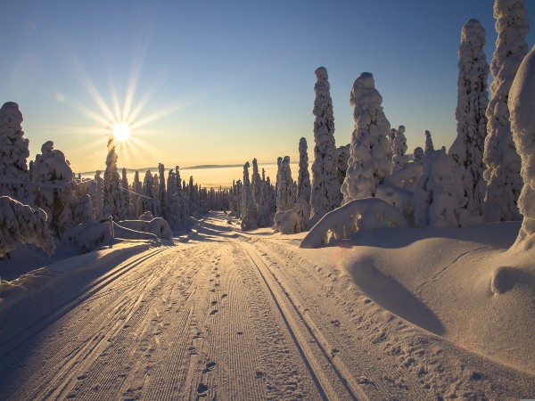 7) Finland