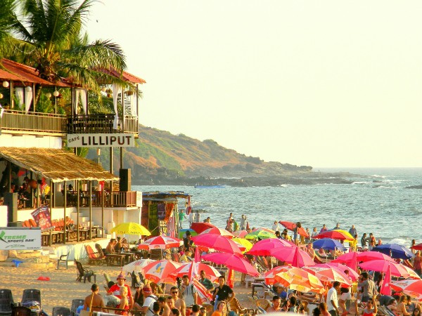Decide the ideal time to visit Goa