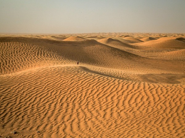 Sahara Desert Sahara Desert
