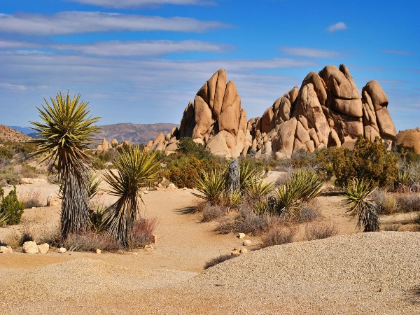 The Mojave Desert History:
