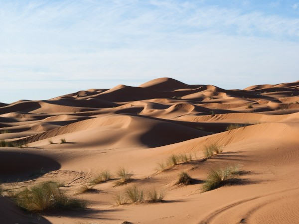 5) Choose Desert Spa