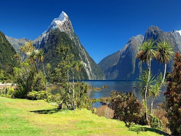 The Fiordland National Park History: