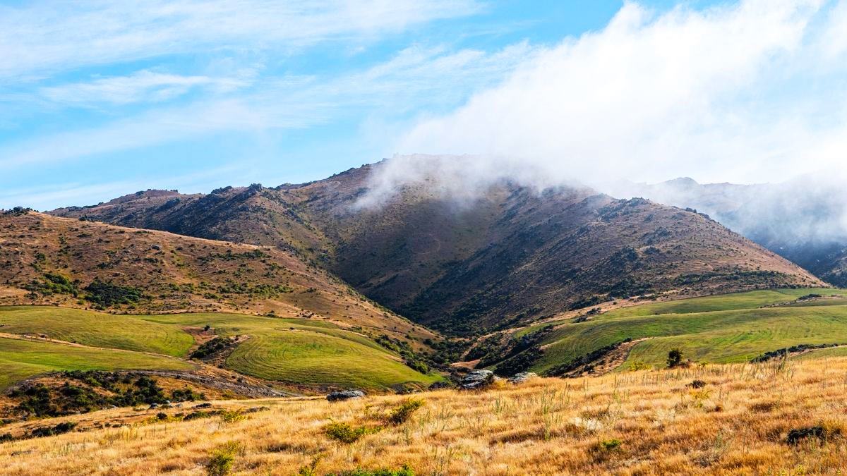Conquer the Highest Bungee Jump in Queenstown, New Zealand
