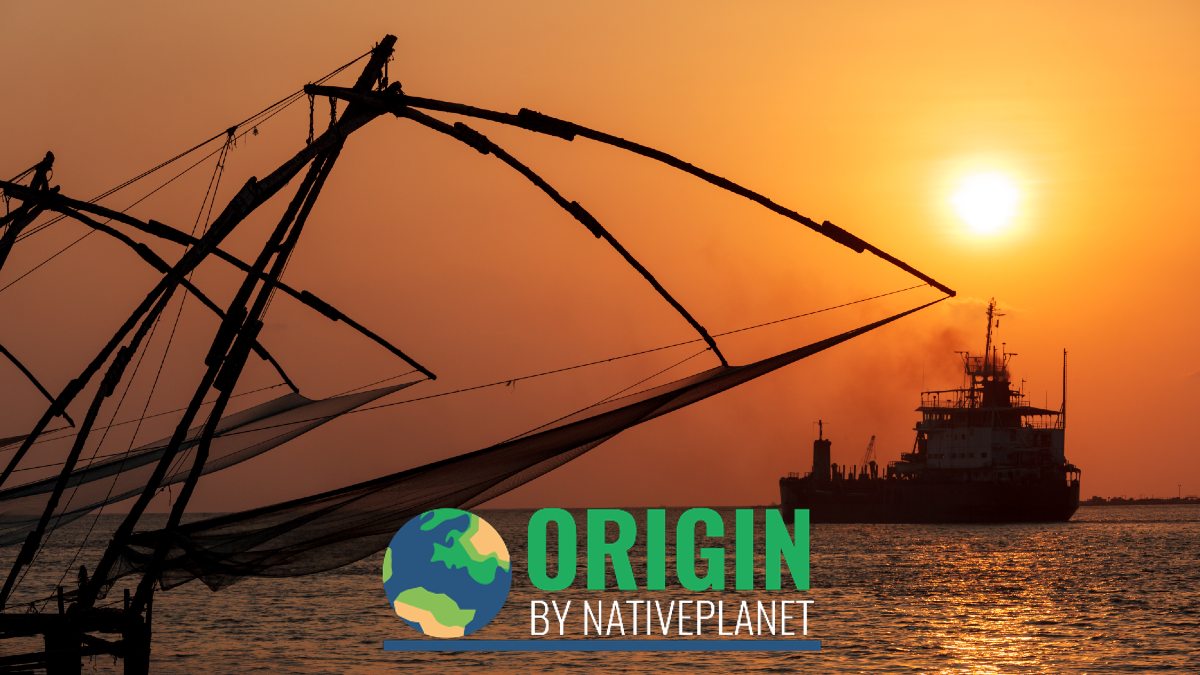 Origin India, So Fishy! History of Fishing in India